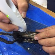 色々な調査、分析に使われているんだなぁ