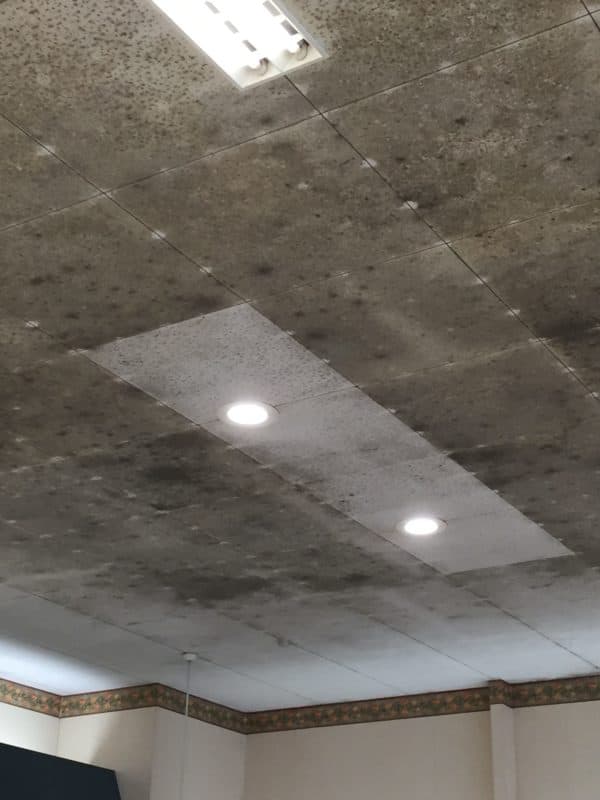 天井のカビ対応