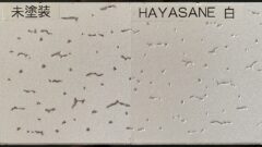 HAYASANE塗装後の色合い