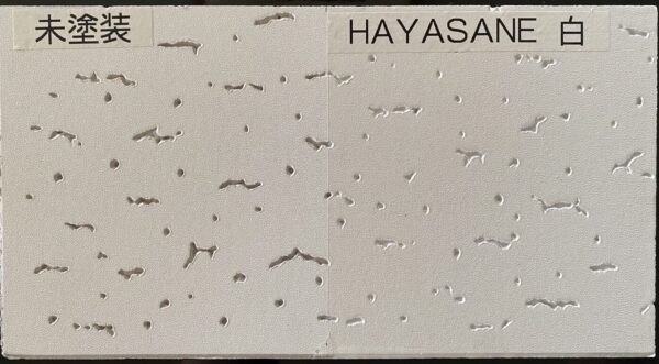 HAYASANE塗装後の色合い