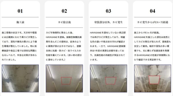 防カビ施工事例