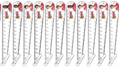 頭が良くなる創造定規「ベスト定規0.5」三遠ネオフェニックスコラボ