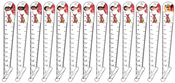 頭が良くなる創造定規「ベスト定規0.5」三遠ネオフェニックスコラボ