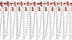 頭が良くなる創造定規ベスト定規×三遠ネオフェニックスコラボ