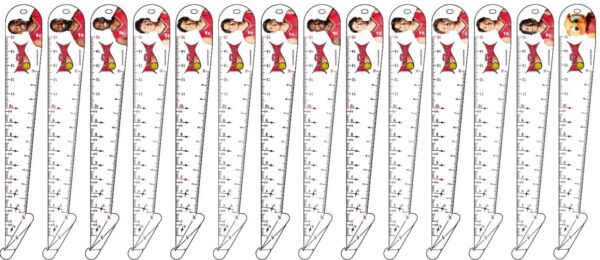 頭が良くなる創造定規ベスト定規×三遠ネオフェニックスコラボ