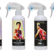 インスタグラムフォロワーキャンペーン結果