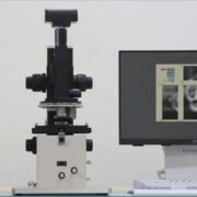 細胞内部の弾性率（硬さ）を画像化出来る世界発の装置