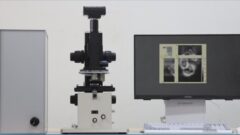 細胞三次元観察用超音波顕微鏡