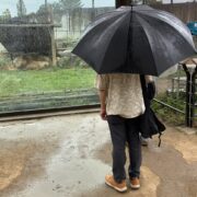 漫画家　鈴木典孝先生と豊橋動植物公園へ！